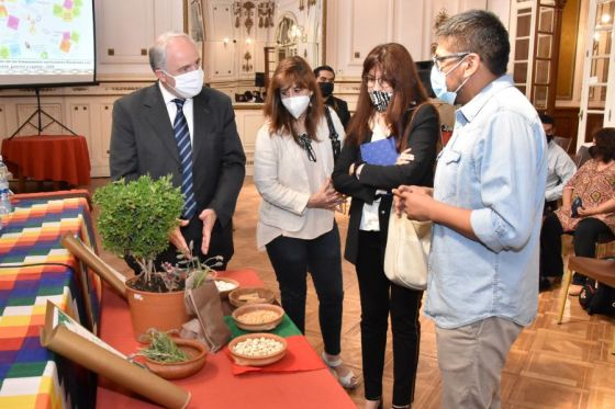 El Ministerio de Educación presentó los lineamientos curriculares de los pueblos chané, guaraní y tapiete Ñandereko para el nivel inicial y el nivel primario.