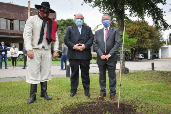 Las dos especies de este árbol histórico provincial, fueron plantadas en Casa de Gobierno e idénticas ceremonias se cumplirán en la Legislatura, Ciudad Judicial y en el Monumento a Güemes.