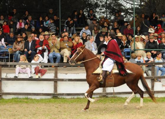 Concurso Caballos Peruano de Paso