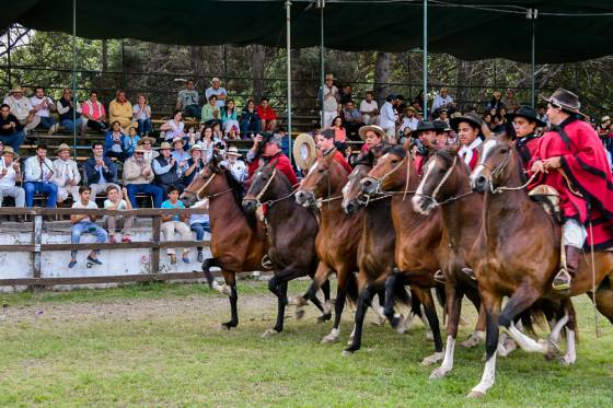 Urtubey participó en el cierre del concurso de la Asociación Argentina de Criadores de Caballos Peruanos de Paso