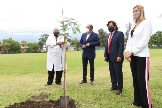 Con la plantación de cebiles colorados, el gobernador Sáenz honró al general Güemes