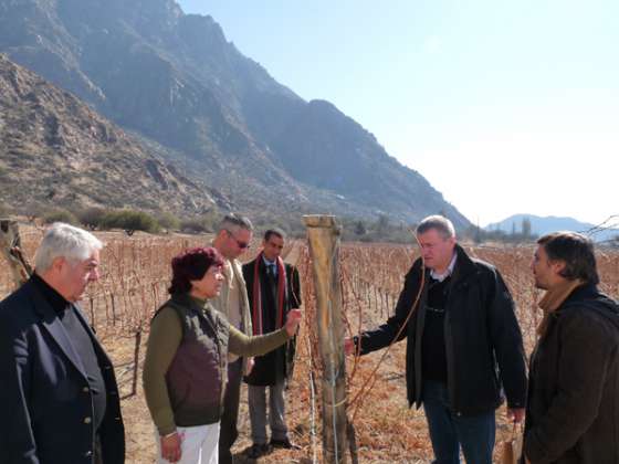 Franceses se reúnen con bodegas de Salta en Cafayate