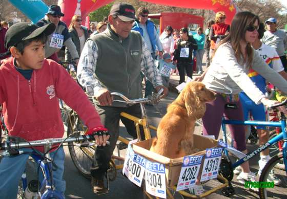 Presentan la bicicleteada a beneficio de EFETA