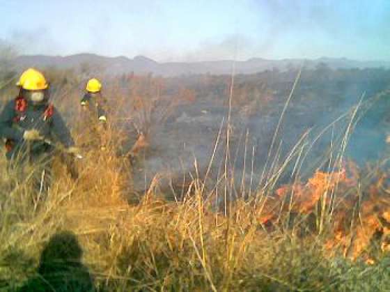 Defensa Civil trabajó en 18 focos de incendios 