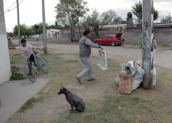 Se realizan tareas de descacharrado en la ciudad y municipios del interior