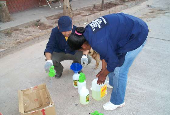 Se intensifican acciones contra el Dengue en Capital e interior 