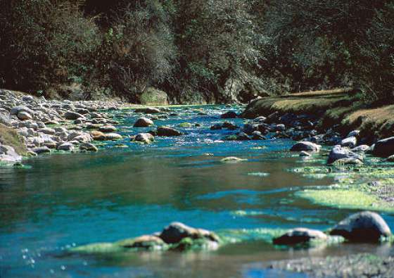 Convocatoria para la conformación del Consejo Provincial de Medio Ambiente 