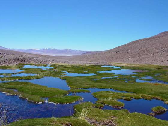 Convocan a universidades para la conformación del Consejo Provincial de Medio Ambiente  