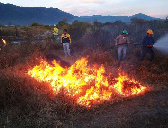 Defensa Civil advirtió que es alto el índice de peligro de incendios   