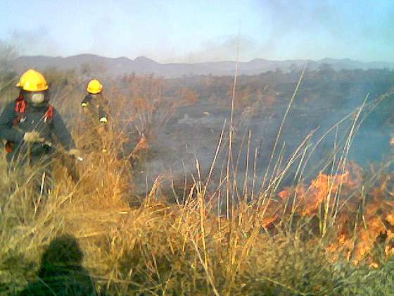 Ambiente controla Incendios Forestales en la zona este de la ciudad 