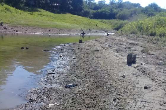 Ambiente investiga sobre posible mortandad de peces en dique El Tunal