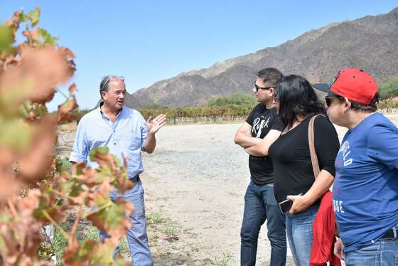 Con visitas a bodegas en vendimia, se posicionan los vinos de altura salteños