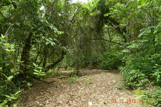 El Gobierno declaró un nuevo Refugio de Vida Silvestre al norte de la Provincia