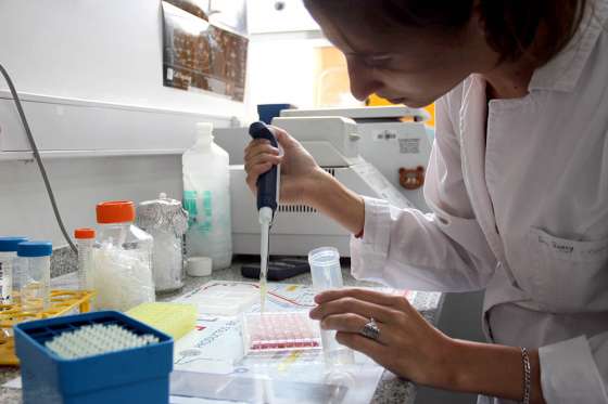 El Instituto Nacional del Cáncer dispone de becas para investigación en diversos campos