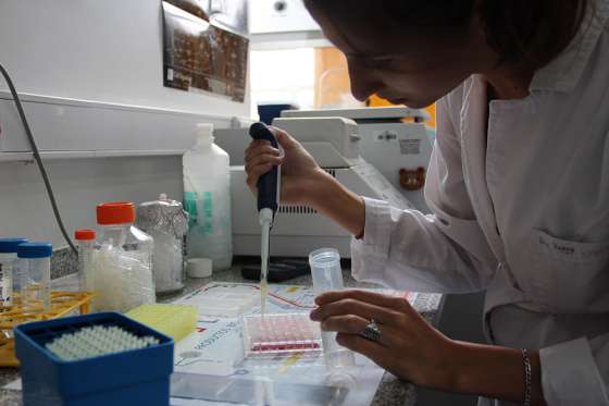 Amplían plazo para postularse a becas del Instituto Nacional del Cáncer