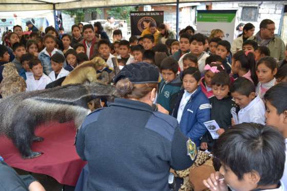 Se realizará hoy una jornada preventiva de seguridad en barrios de zona oeste