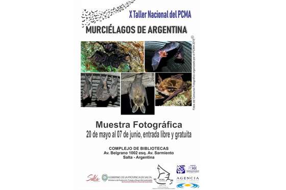 Inauguran hoy una muestra fotográfica con las especies de murciélagos que habitan en el país