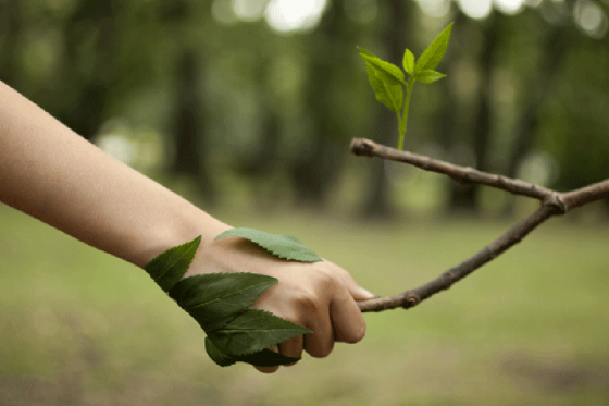 Por el Día Mundial del Medio Ambiente hay actividades en el hospital San Bernardo