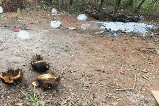 Multaron a cazadores ilegales en el chaco salteño