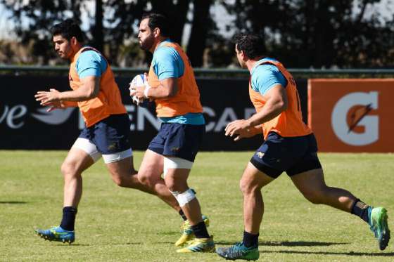 Comienza la Semana de Los Pumas por el partido entre Argentina y Sudáfrica