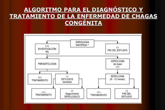 Intensifican acciones para eliminar transmisión congénita de la enfermedad de Chagas