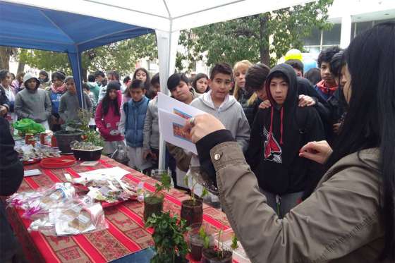 Estudiantes y docentes realizan actividades por el Día Mundial de la Alimentación