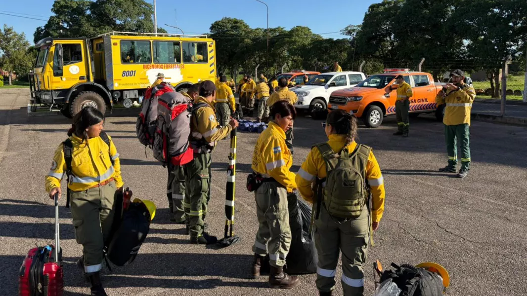 Refuerzos para combatir los incendios forestales