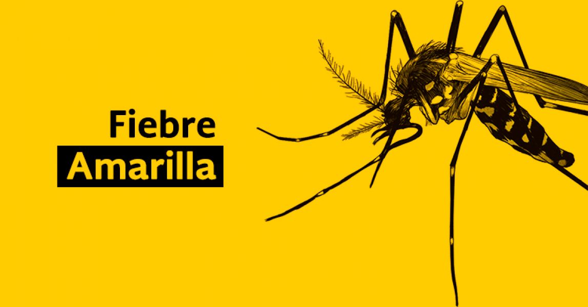 The doses against yellow fever are given at the Señor del Milagro hospital