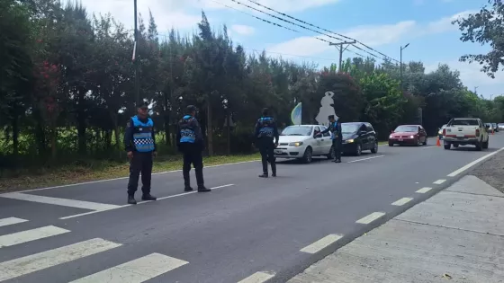 La Policía Vial sancionó a más de 250 conductores alcoholizados