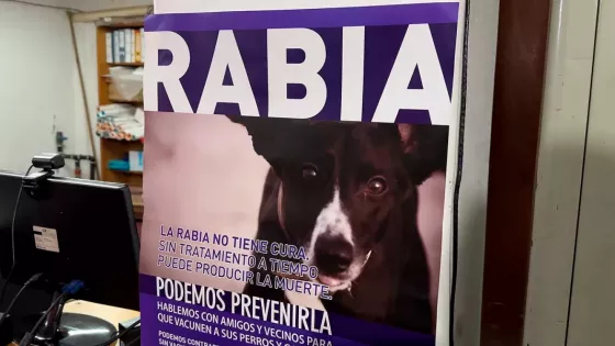 Ya están disponibles las vacunas gratuitas para la campaña antirrábica