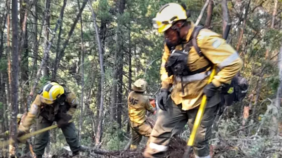 Continúa la cooperación de Salta en el combate de incendios forestales en Río Negro