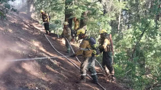 Continúa la cooperación de Salta en el combate de incendios forestales en Río Negro