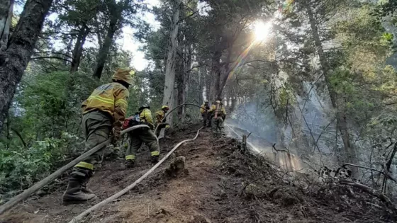 Continúa la cooperación de Salta en el combate de incendios forestales en Río Negro