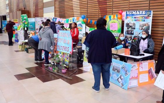 Los sectores público y privado participan en una exposición sobre Discapacidad e Inclusión