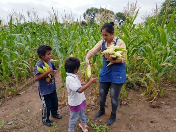 Alumnos de la escuela de Educación especial de Coronel Juan Solá aprenden a través de huertas escolares