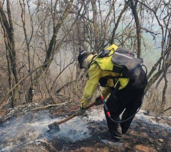 Bomberos desarrollando tareas para la mitigación del fuego