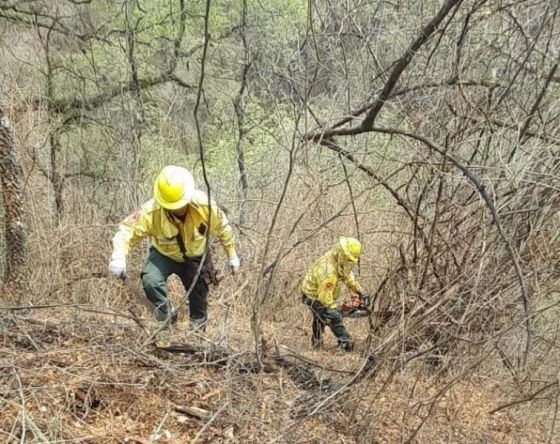 Bomberos desarrollando tareas para la mitigación del fuego.