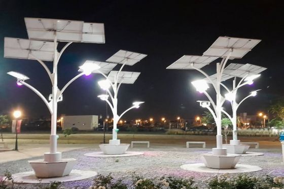 El Parque Bicentenario inauguró su bosque solar que permite reducir el consumo energético