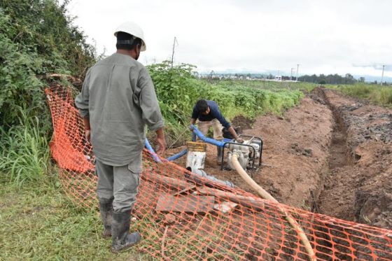 Trabajos.