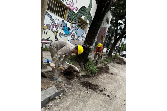 Continúa el plan de recambio de cañerías en distintos puntos de la ciudad