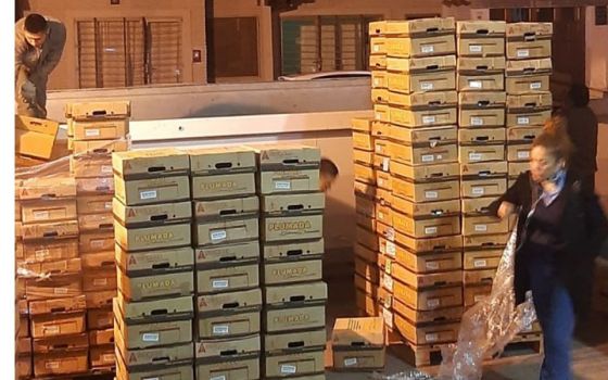 El Archivo Central clasifica y desecha 650 cajas de documentación vencida