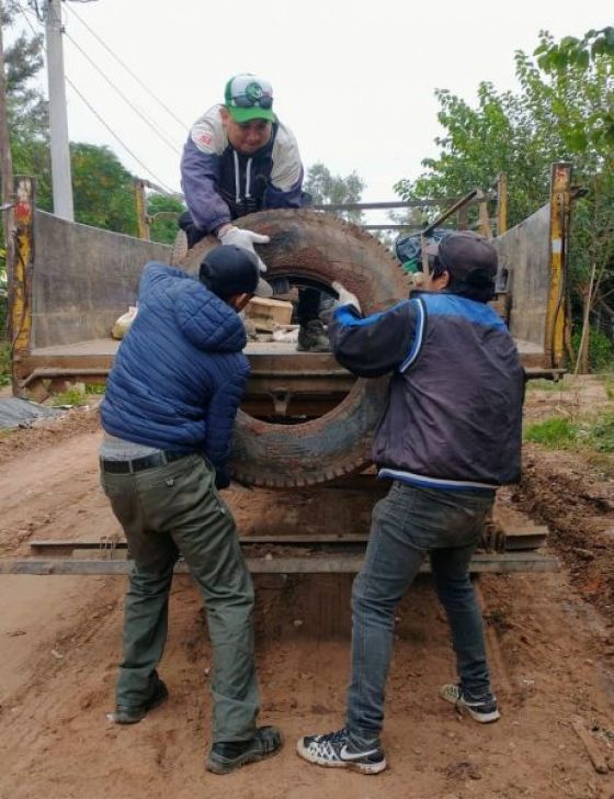 Continúa el descenso en la notificación de casos de dengue en la provincia