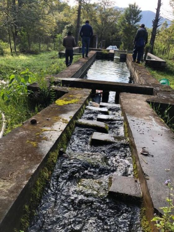 Se reactivará una planta de agua potable en Los Toldos