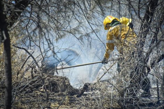 Operativo incendio en Cafayate.