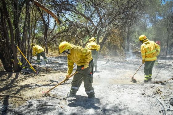 Operativo incendio en Cafayate.