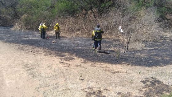 Bomberos y Brigadistas de la Provincia