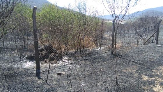 Bomberos y Brigadistas de la Provincia