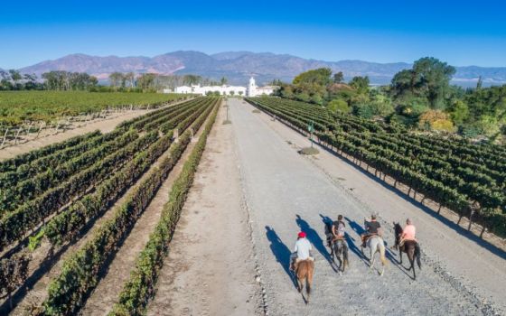 Día del Vino: Salta ofrece experiencias únicas y se consolida como destino enoturístico de referencia