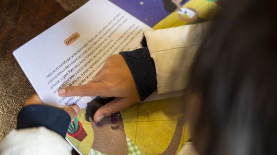 Enseñar y aprender a leer y escribir: Salta renovó su compromiso con la distribución de libros