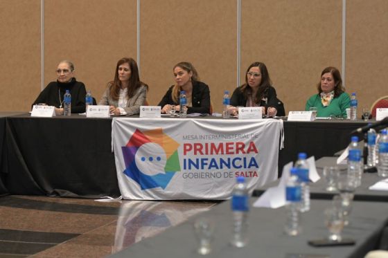 Se realizó la primera reunión plenaria 2024 de la Mesa Interministerial de Primera Infancia